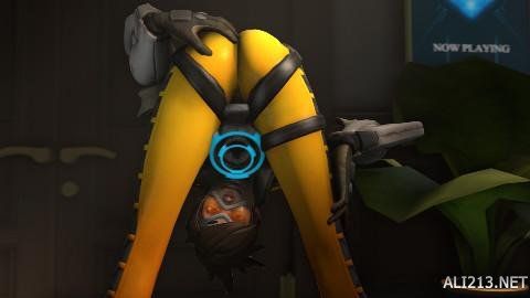 国籍归化问 国籍归化问